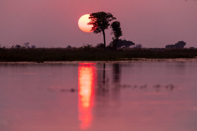 OKAVANGO DELTA