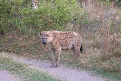 MOREMI RESERVE