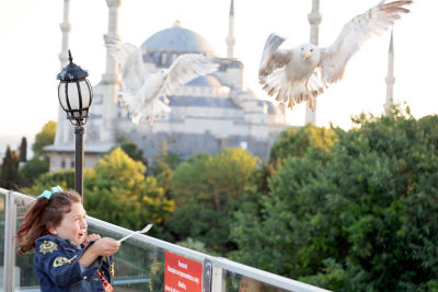 Blue Mosque