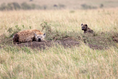Masai Mara