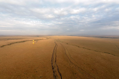 Masai Mara