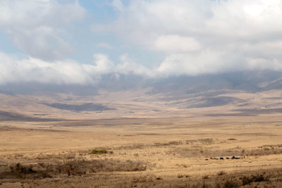 Ngorongoro Crater