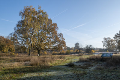 Patmore Heath
