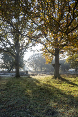 Patmore Heath