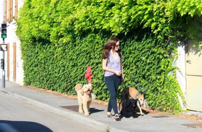 2018078062 Dog walking woman Grenoble.jpg