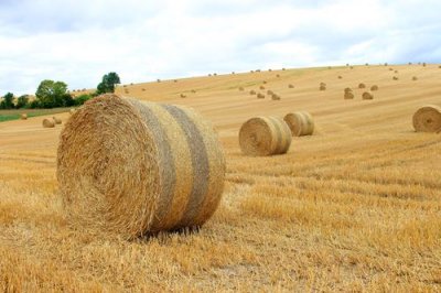 2018079255 Fields of the Somme.jpg
