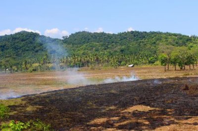 2019048960 Slash and burn Palawan.jpg