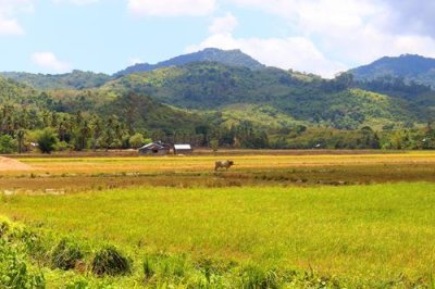 2019049028 Countryside near El Nido.jpg