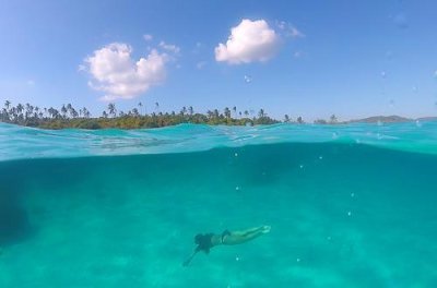 2019049117 Melody underwater 2.jpg