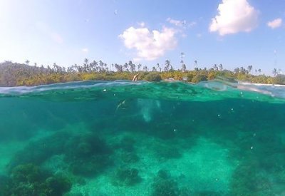 2019049118 Underwater Cobra island.jpg