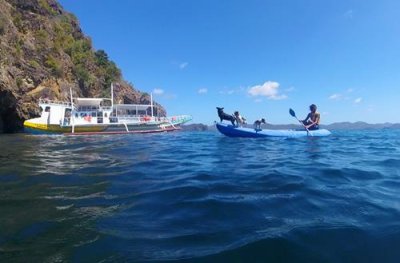 2019049284 Dogs boat.jpg
