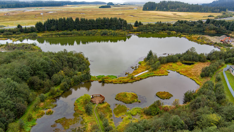 Kingfisher Pond viewing platform from drone