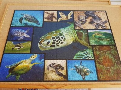 TurtleJigSaw.jpg