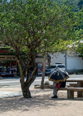 Miyajma island 