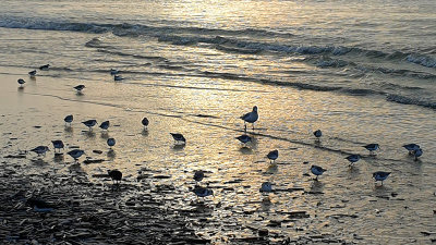 Bloemendaal aan Zee