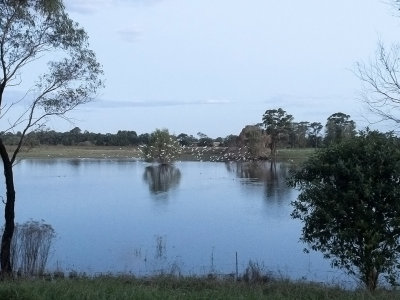 Late Afternoon