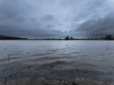 Subject To Inundation!