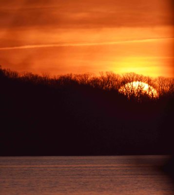Sunrise_Huntley_Meadows_VA.jpg