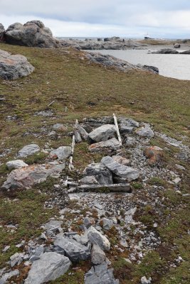 ancient grave of walrus hunter.jpeg