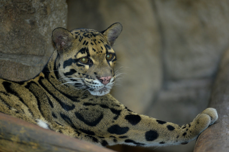 DSC_0661.JPG