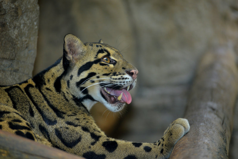 DSC_0666.JPG