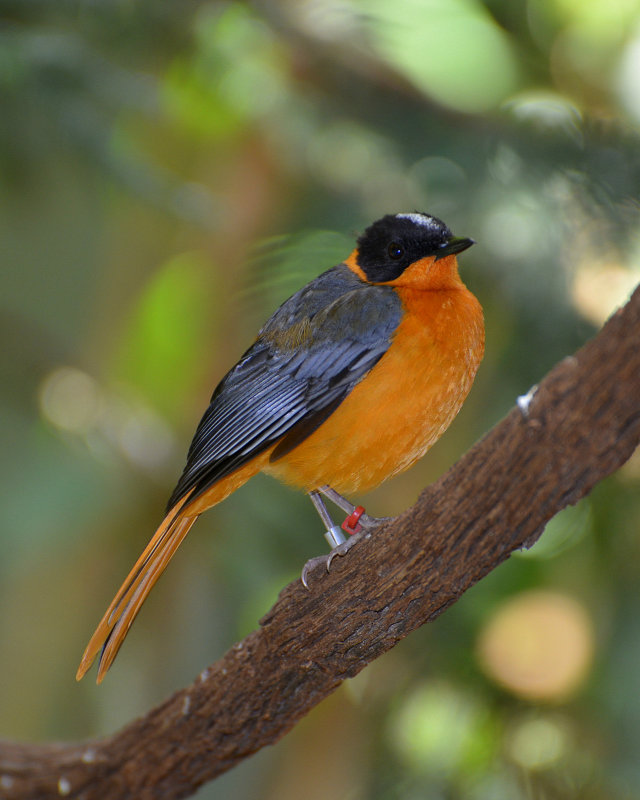DSC_0965.JPG