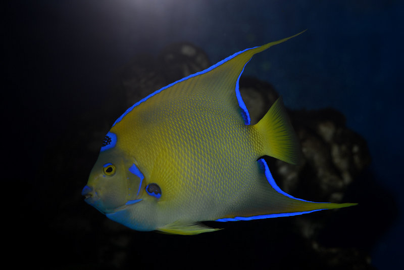 DSC_1076.JPG