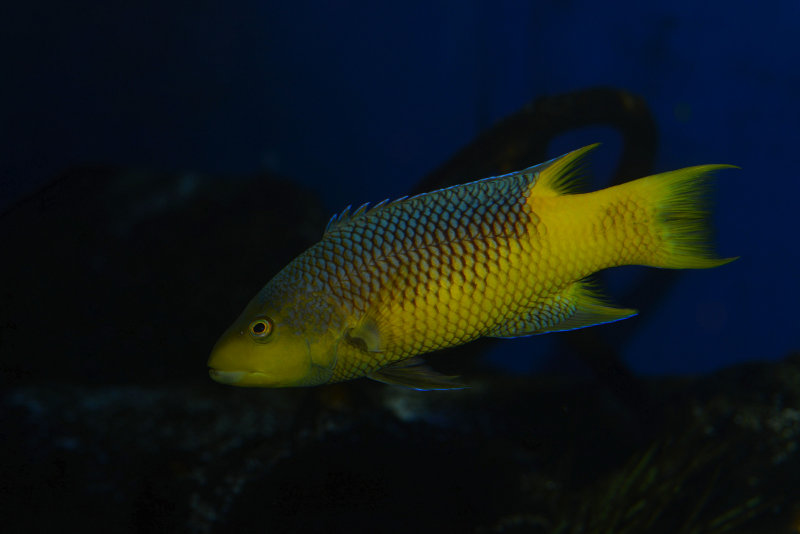 DSC_1082.JPG