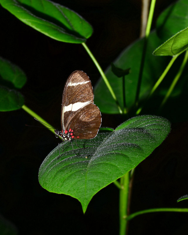 DSC_1136.JPG