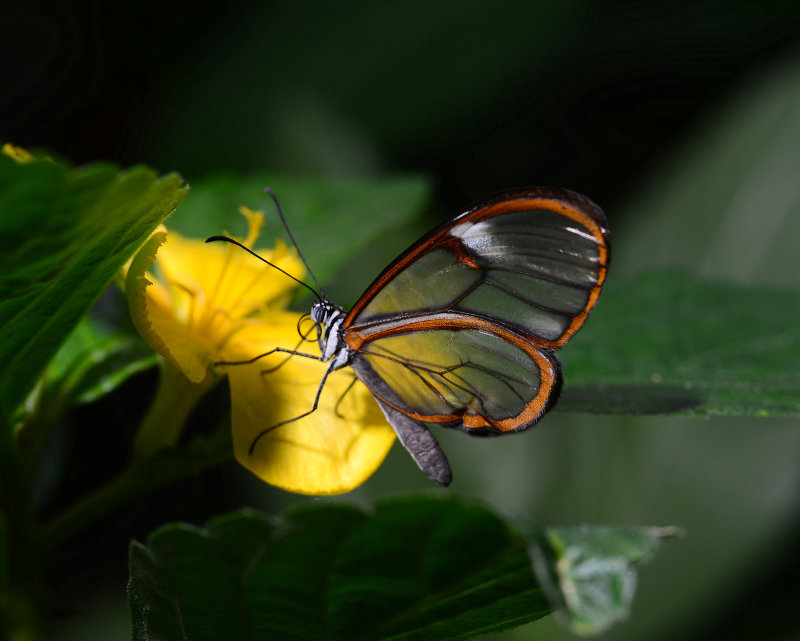 DSC_1179.JPG