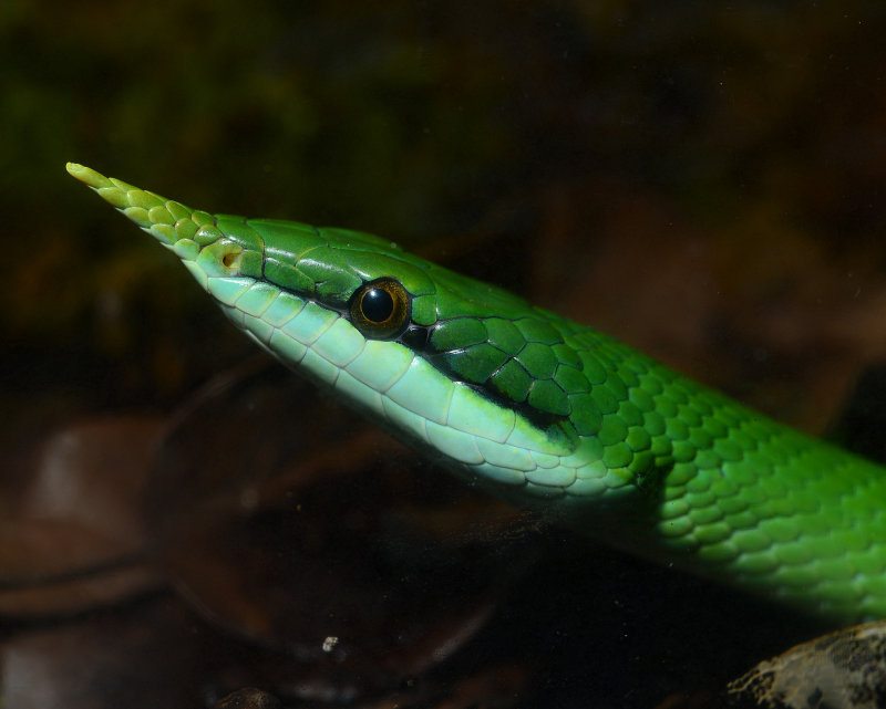 DSC_1190.JPG