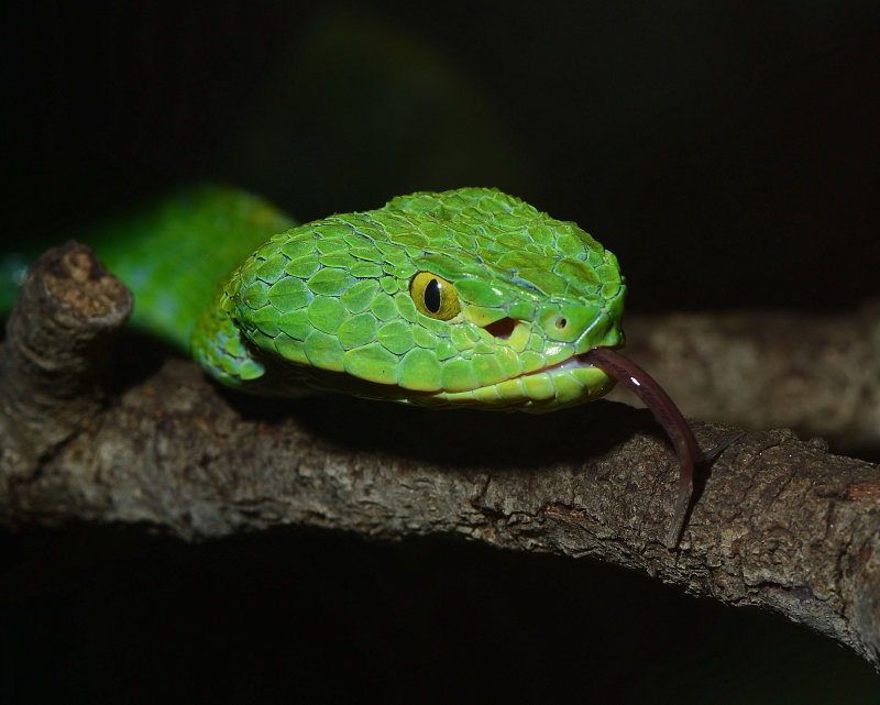 DSC_1211.JPG