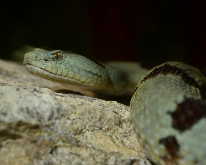 DSC_1226.JPG