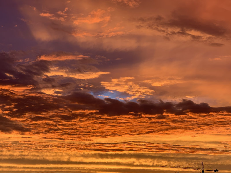 9B54381E-6735-4663-A48F-CF36AA88A55C.jpeg