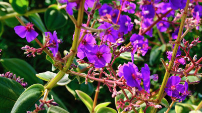 Fujifilm GFX100S 1.jpeg