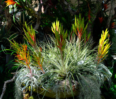 DSCF0247 1.jpg
