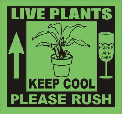 LIVE_PLANTS_KEEP_COOL_colour.jpg