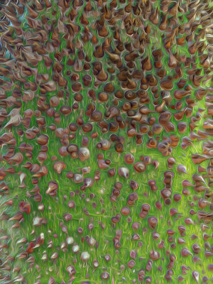 07_2017_Spiny Tree Vertical Impressions Swirly.jpg
