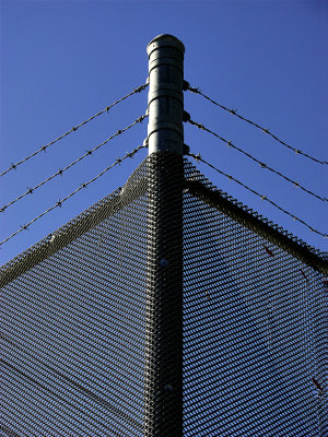 Fence_IMG_3497-DPC7.jpg