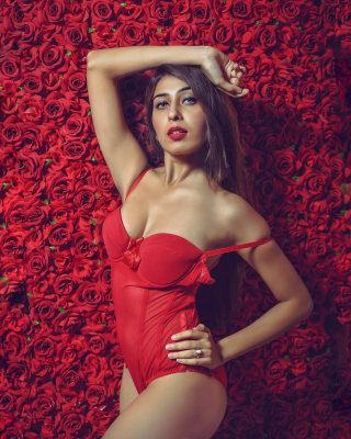 Stunning Hot Sexy Rohini Call Girls