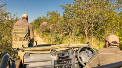 AFR01087-DEB Tracker Sidwell and Guide Damen