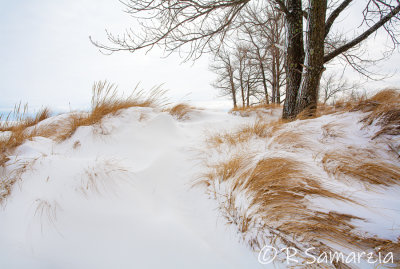 Image 371 - Winter Dunes, Lake Superior