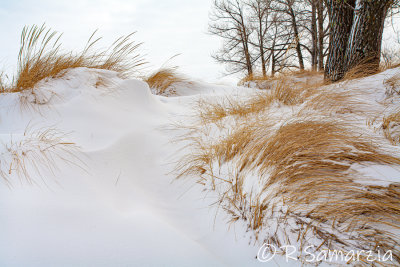 Image 372 - Winter Dunes, Lake Superior