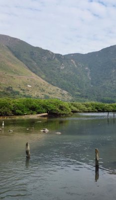 Tai O Fishing Village