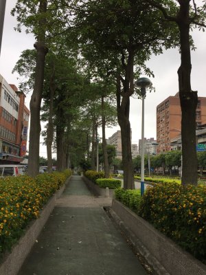 淡水河岸老街.