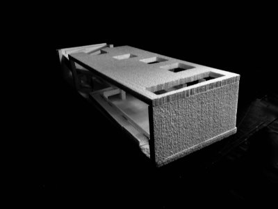 BakTre_Unit4_4600.jpg