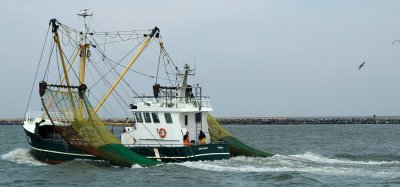 Dutch  fishing vessel.