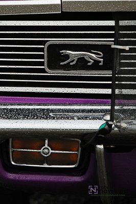 g12/85/856185/3/169464826.MdPcgH7i.jpg