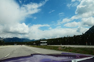 g12/85/856185/3/169472245.YbPJ6N2U.jpg