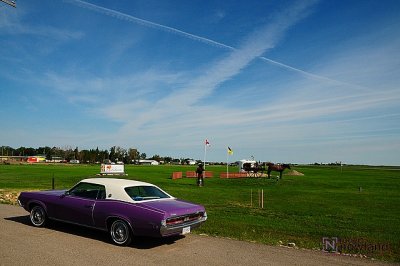 DTC_0843-r.JPG